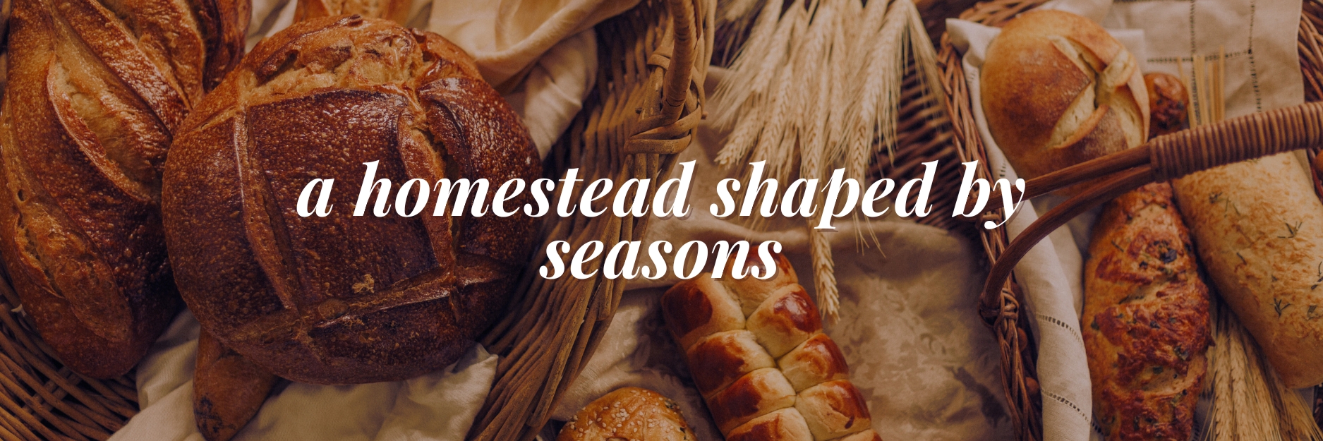 A Homestead Shaped by Seasons