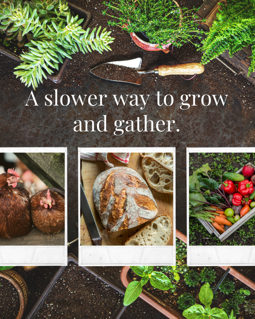 harvested by hand. shared with heart.